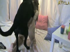 Teen loves to have homemade dog sex in the bedroom